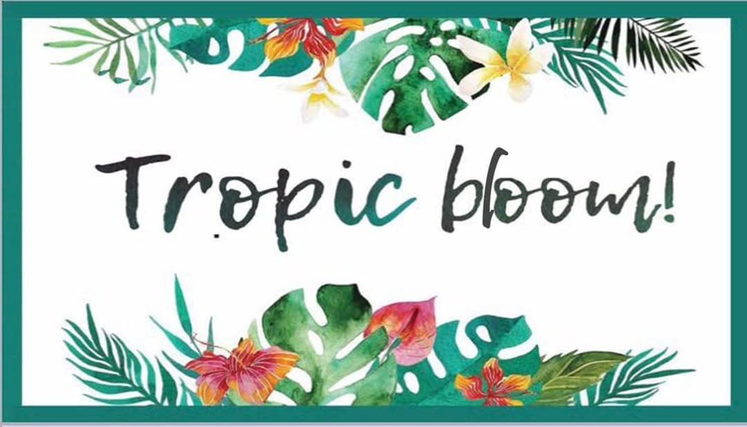Tropical Bloom